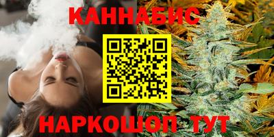 индика Тулун