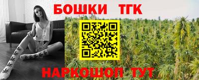 индика Тулун
